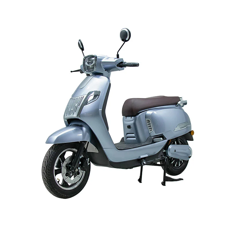 Zer kontuan hartu beharko zenuke helduentzako 10 hazbeteko 800W moto elektrikoa erosterakoan?