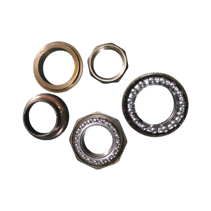 Nola aukeratu zirkulua zure ibilgailurako